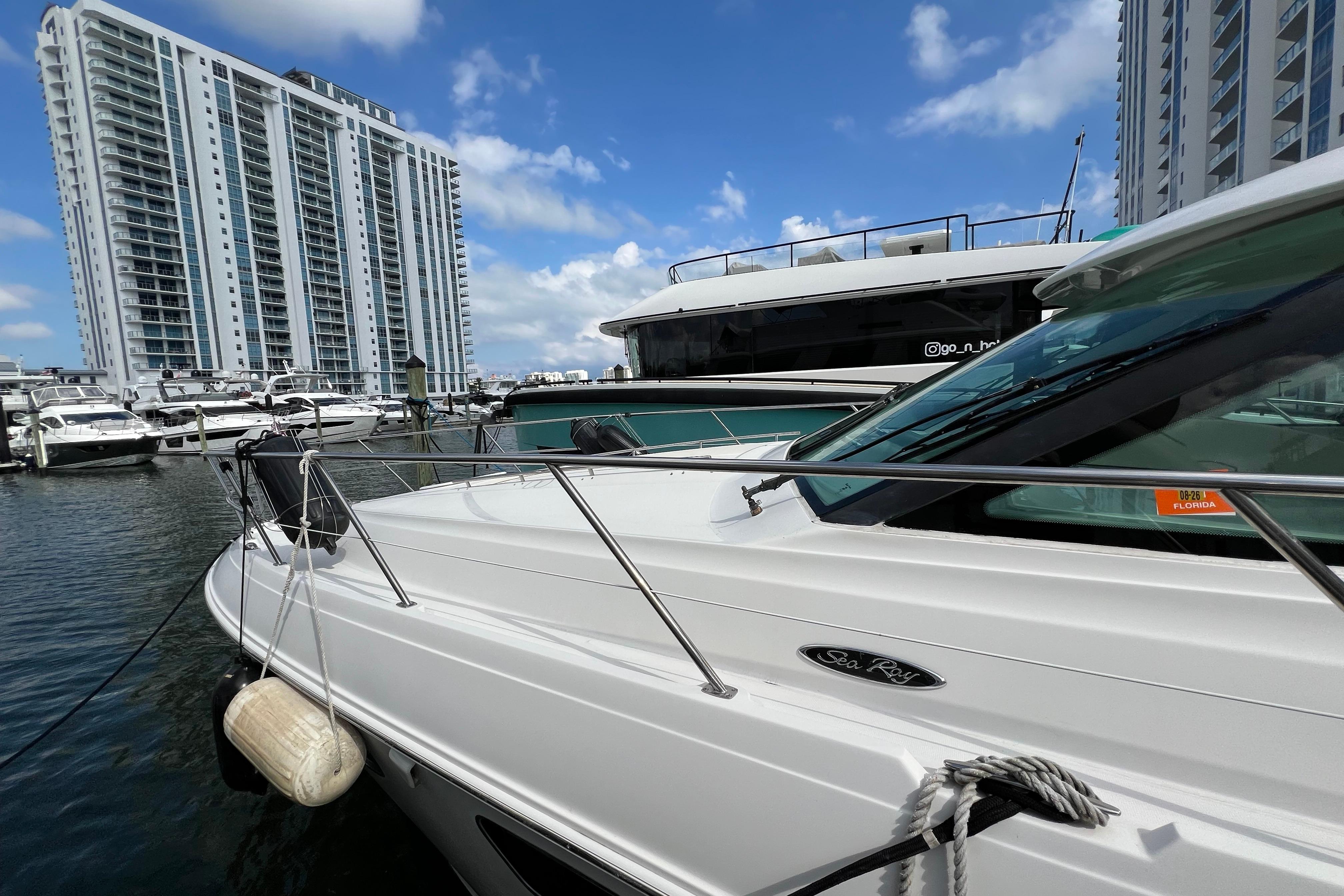 2010 Sea Ray 450 Sundancer à venda (photo 3)
