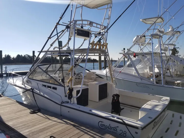 2014 Carolina Classic 28CC à vendre (photo 2)
