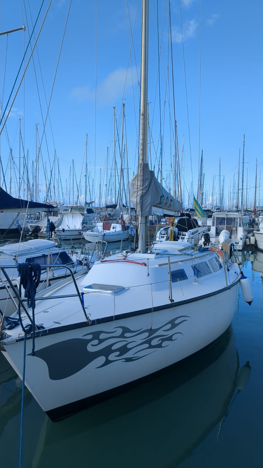 1979 Dufour 2008 zu verkaufen (photo 1)