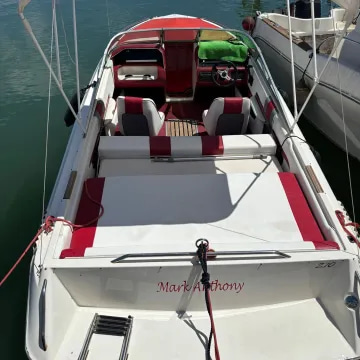 1999 Sea Ray 210 Bowrider à venda (photo 2)