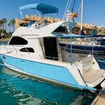 2007 Altair 10 Fly à vendre (photo 2)