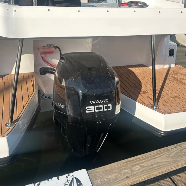 2023 Lamdo eLY30+ zu verkaufen (photo 5)