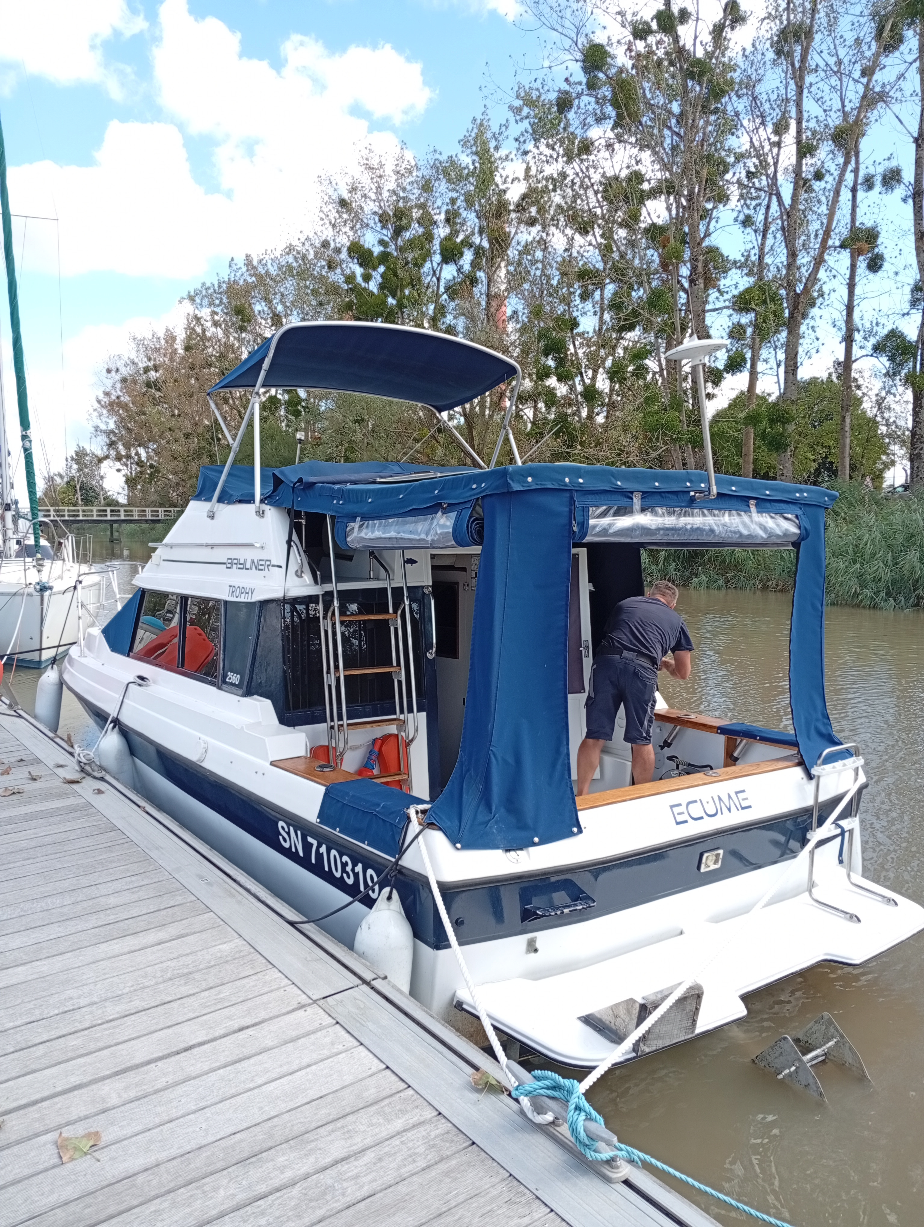 1988 Bayliner Trophy 2560 na sprzedaż (photo 2)