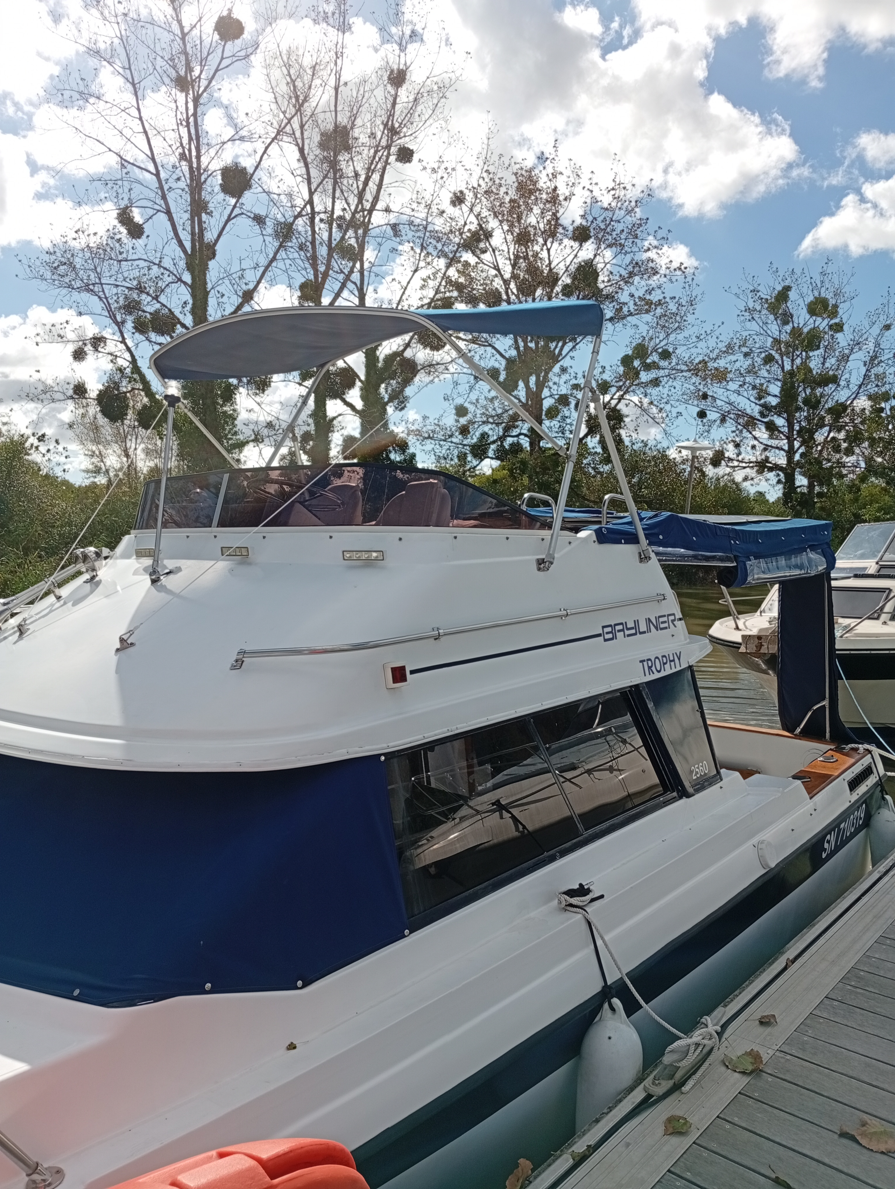 1988 Bayliner Trophy 2560 na sprzedaż (photo 10)