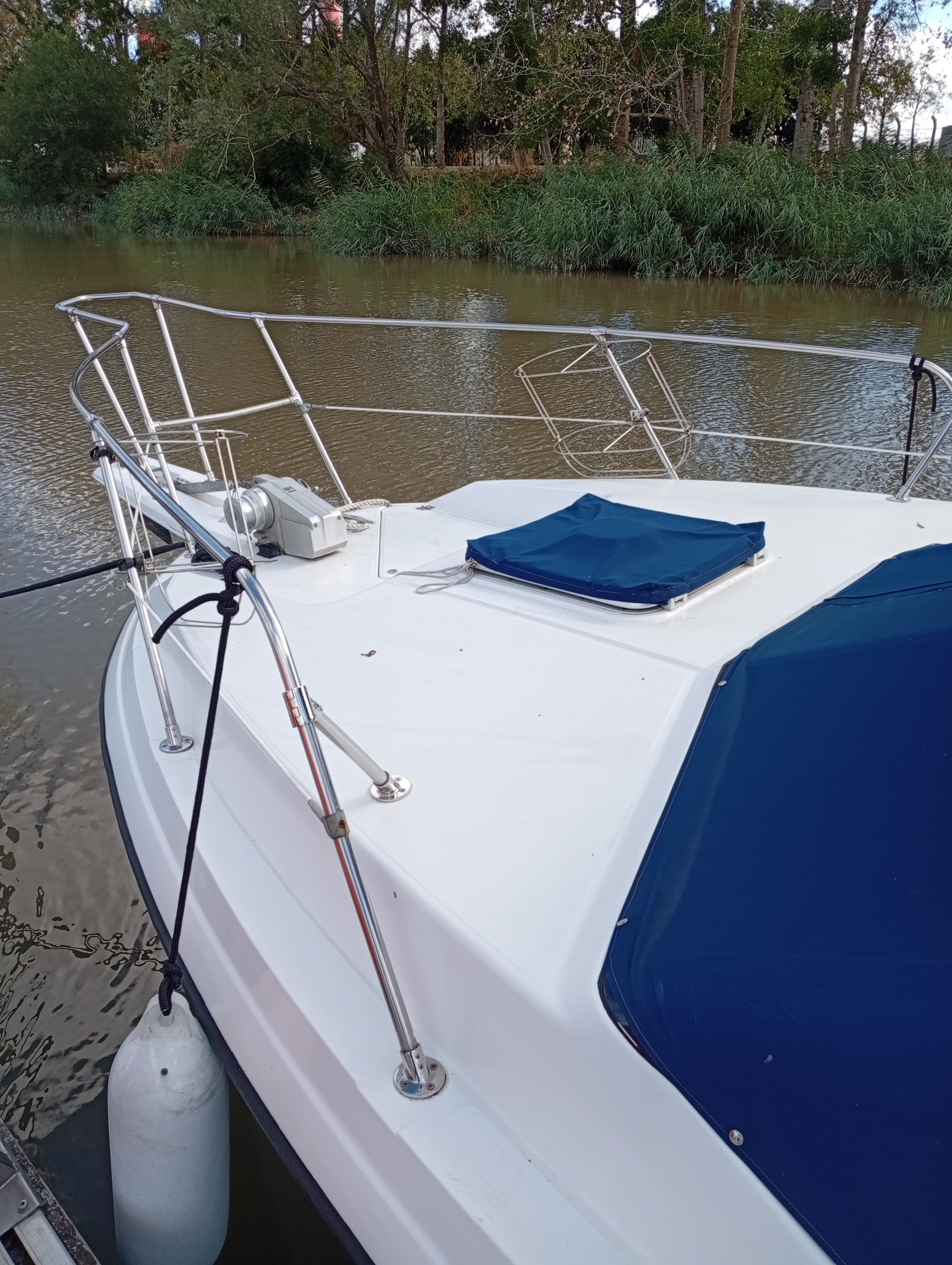1988 Bayliner Trophy 2560 na sprzedaż (photo 16)