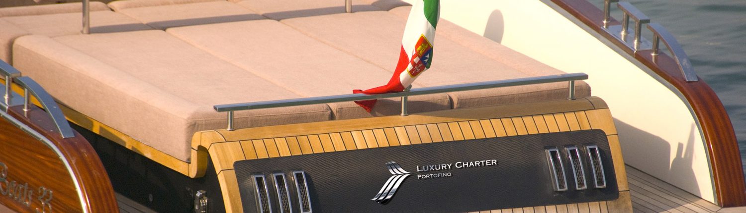 2023 Custom Power Boat 2 a noleggio (photo 3)