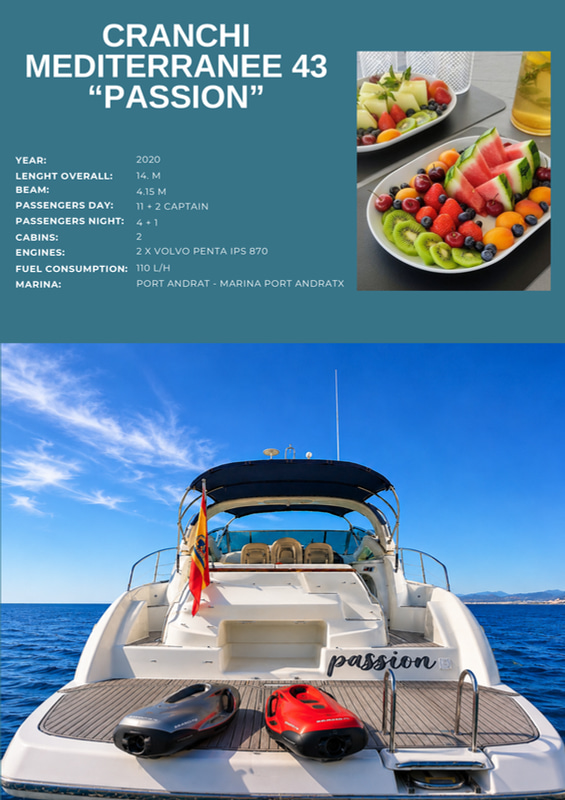 2020 Cranchi Mediterranee 43 na czarter (photo 6)