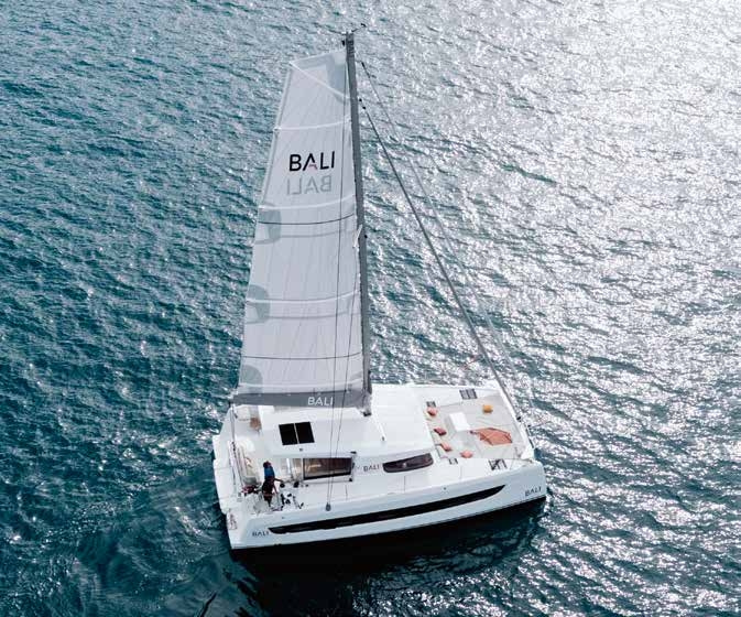 2023 BALI Catsmart in vendita (photo 3)
