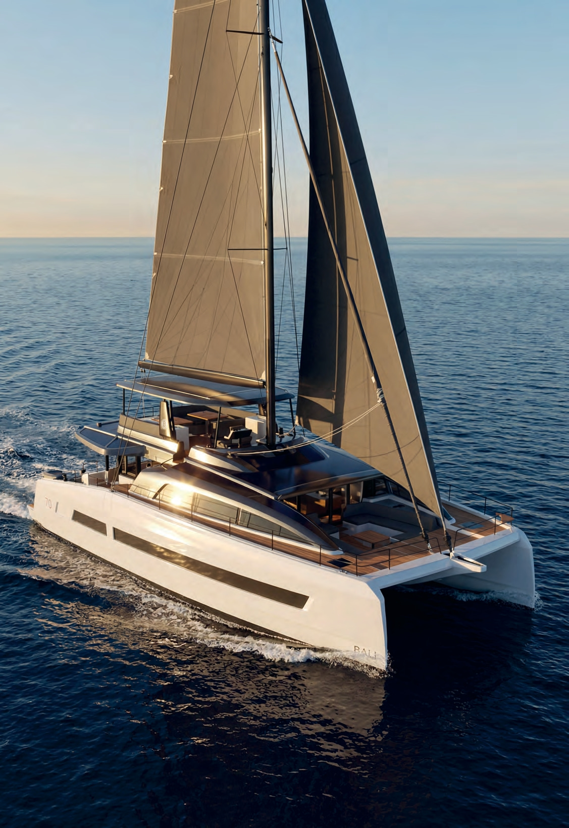 2023 BALI 7.0 te koop (photo 2)