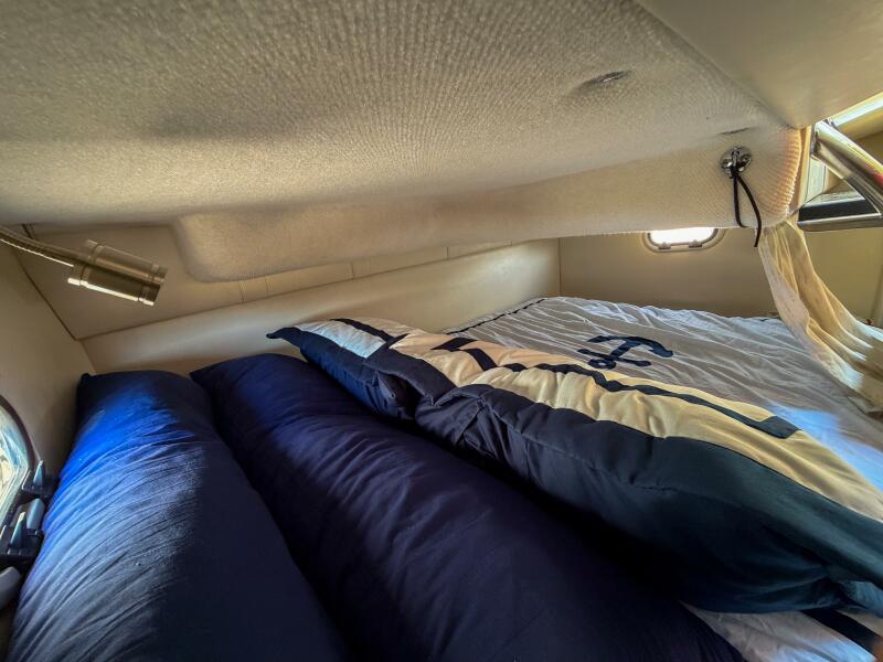 2020 Regal 26 Express te koop (photo 12)