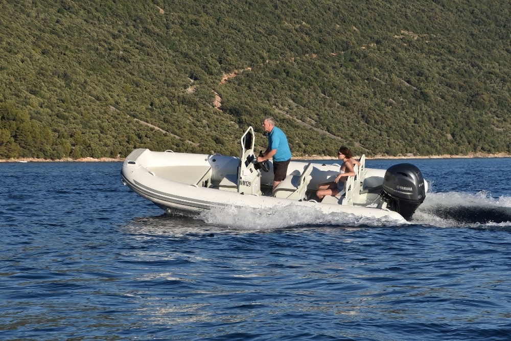 2026 ZAR Mini LUX RIDER 18 Hypalon zu verkaufen (photo 4)