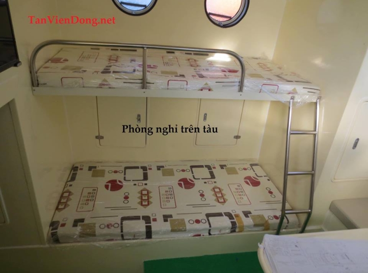 2023 Tan Vien Dong TVD-ST1800 in vendita (photo 8)