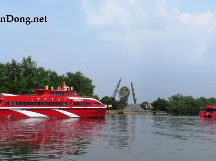 2021 Tan Vien Dong TVD-CATA2988 na sprzedaż (photo 5)