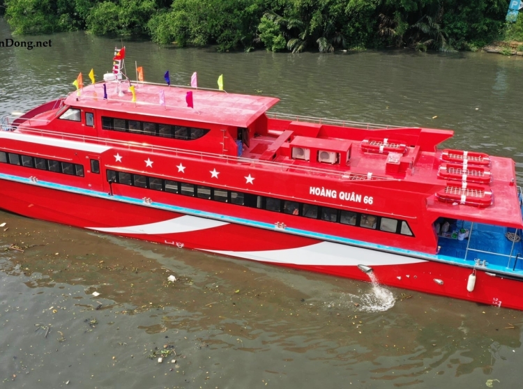 2021 Tan Vien Dong TVD-CATA2988 na sprzedaż (photo 6)