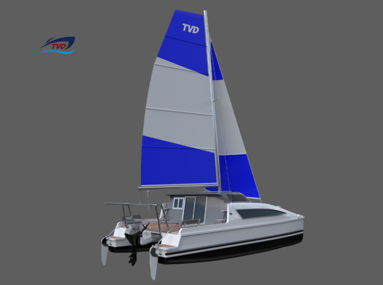 2023 Tan Vien Dong TVD25C na sprzedaż (photo 2)