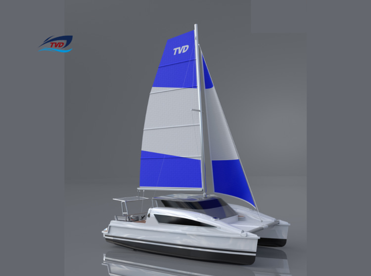 2023 Tan Vien Dong TVD25C na sprzedaż (photo 3)