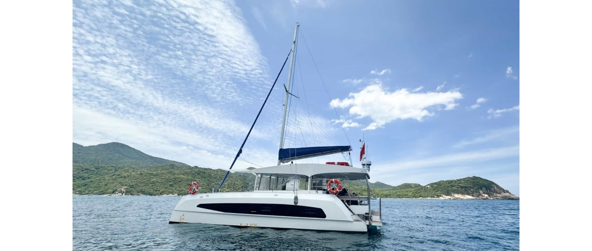 2023 Tan Vien Dong TVD1250SYO for sale (photo 7)