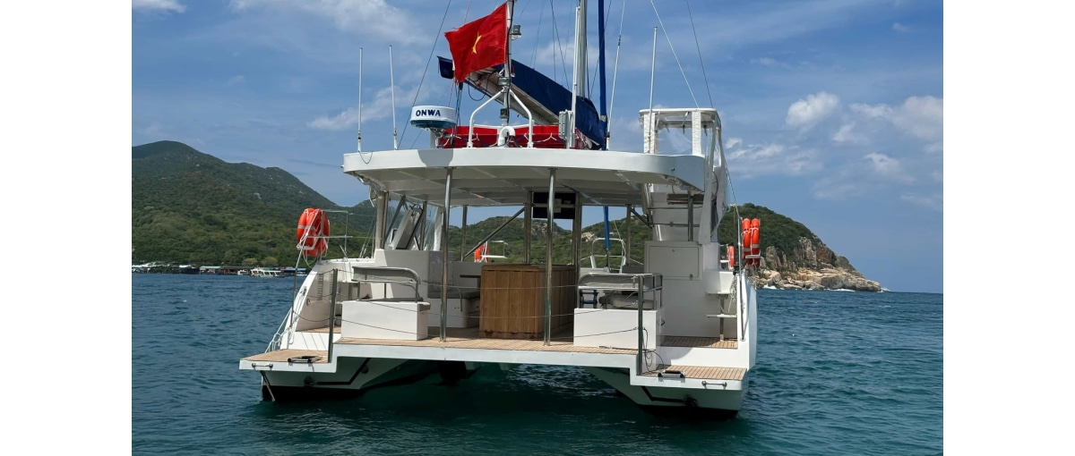 2023 Tan Vien Dong TVD1250SYO for sale (photo 12)