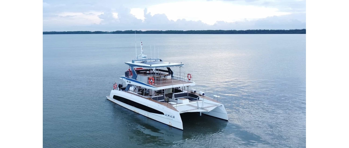 2023 Tan Vien Dong TVD1360MYO for sale (photo 3)
