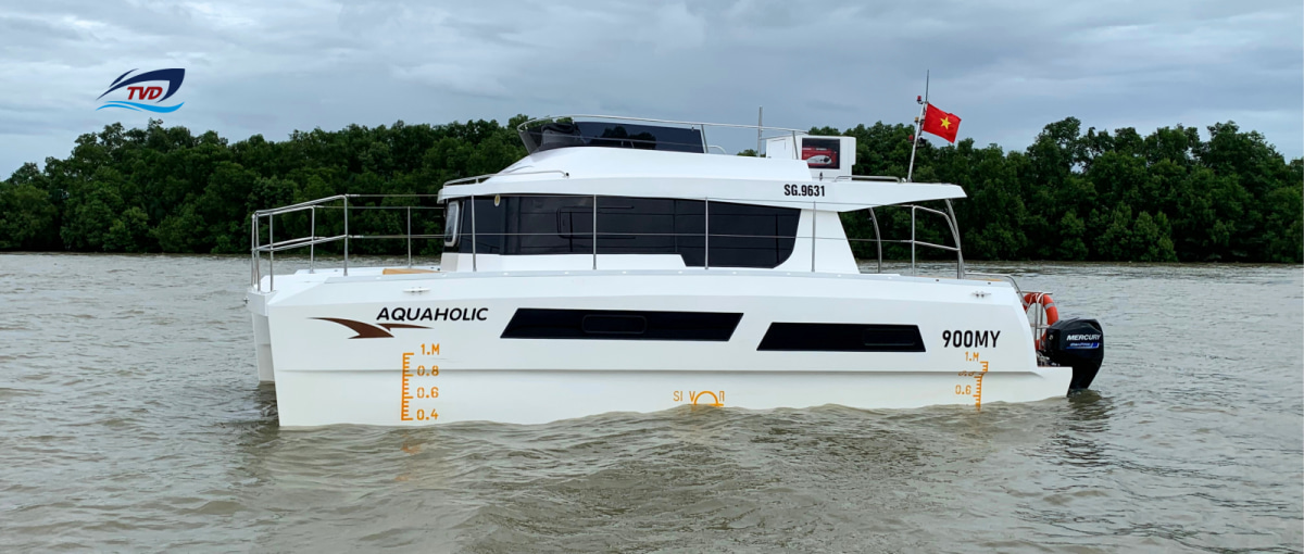 2023 Tan Vien Dong TVD-900MY in vendita (photo 3)