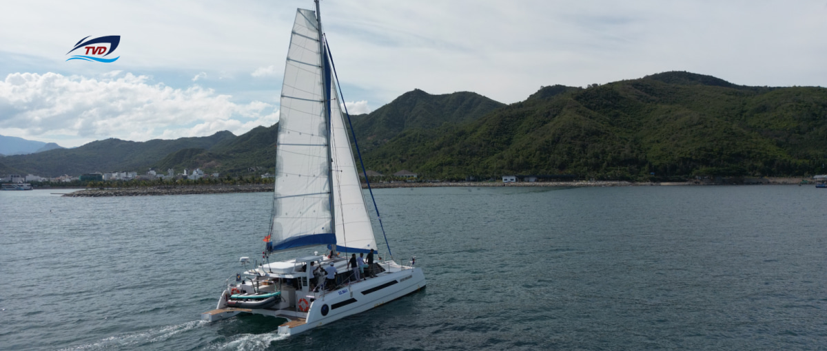 2023 Tan Vien Dong TVD-1350SY zu verkaufen (photo 3)