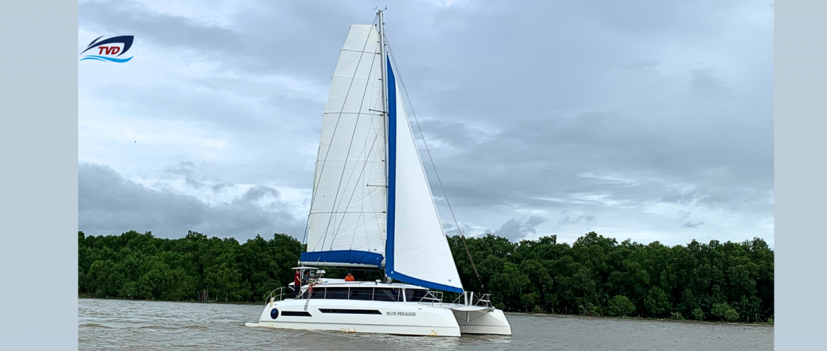 2023 Tan Vien Dong TVD-1350SY zu verkaufen (photo 5)