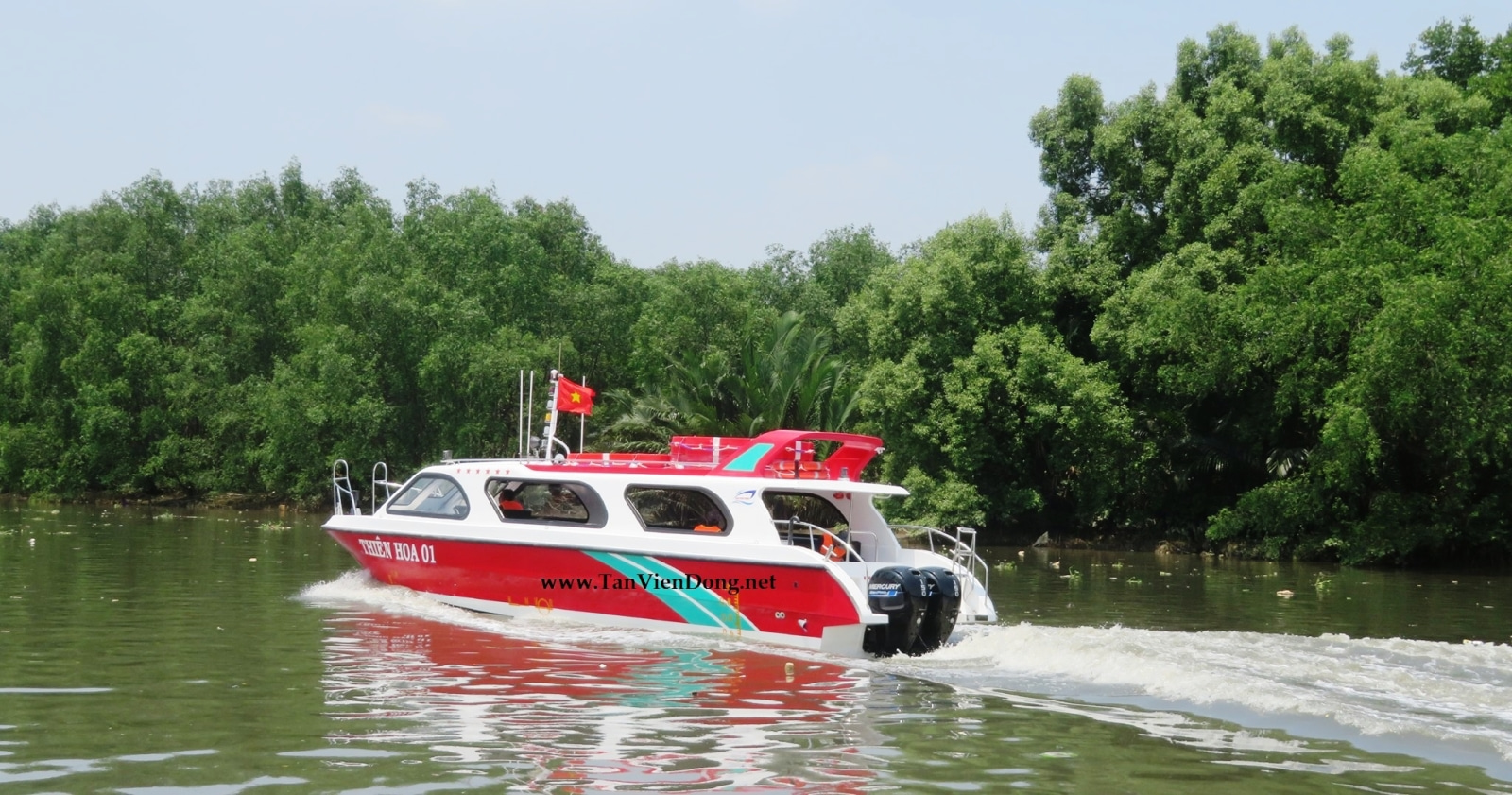 2023 Tan Vien Dong TVD-SL1242 for sale (photo 3)