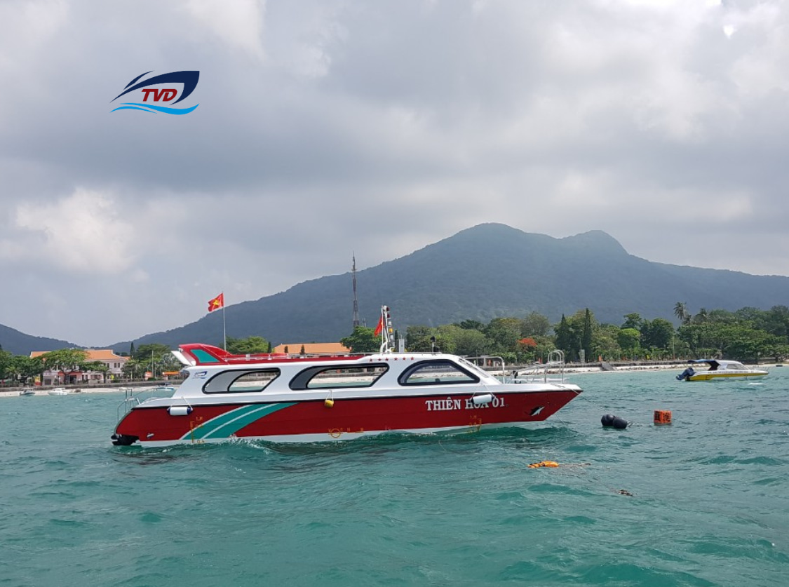 2023 Tan Vien Dong TVD-SL1242 for sale (photo 11)