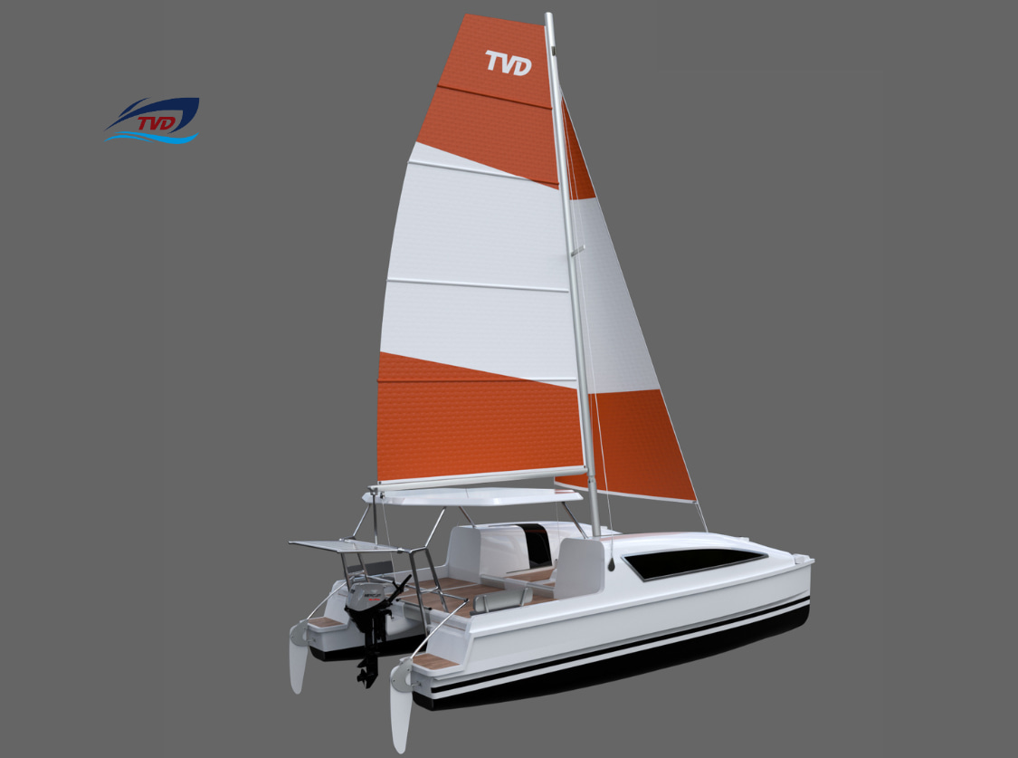 2023 Tan Vien Dong TVD25S en venta (photo 2)