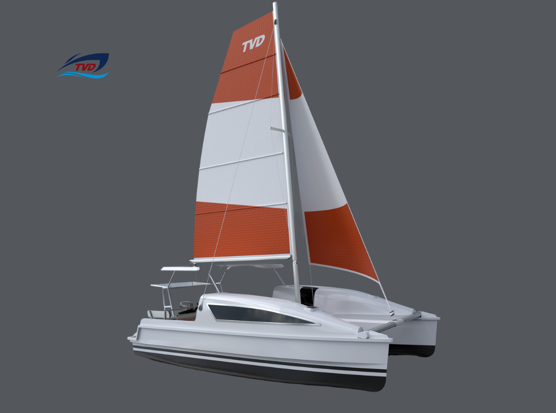 2023 Tan Vien Dong TVD25S en venta (photo 4)