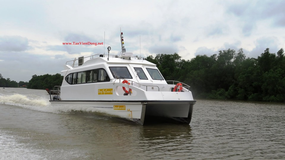 2019 Tan Vien Dong TVD-CATA1306 na sprzedaż (photo 2)