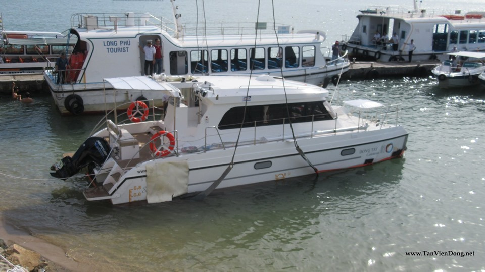 2019 Tan Vien Dong TVD-CATA1306 na sprzedaż (photo 19)