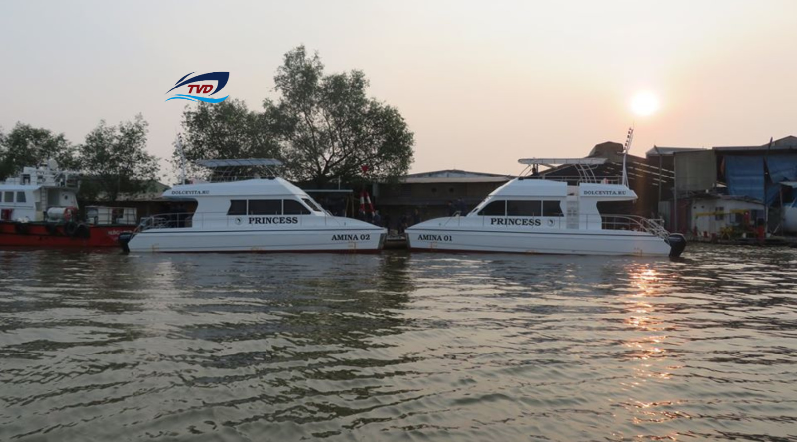 2023 Tan Vien Dong TVD-CATA1223 for sale (photo 5)