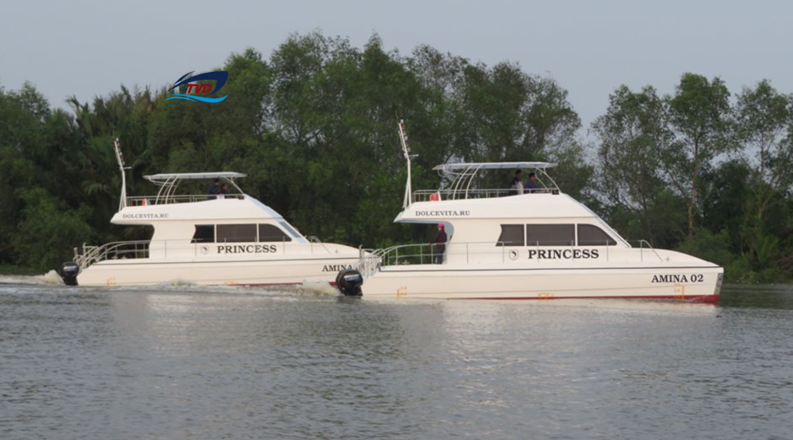 2023 Tan Vien Dong TVD-CATA1223 for sale (photo 6)