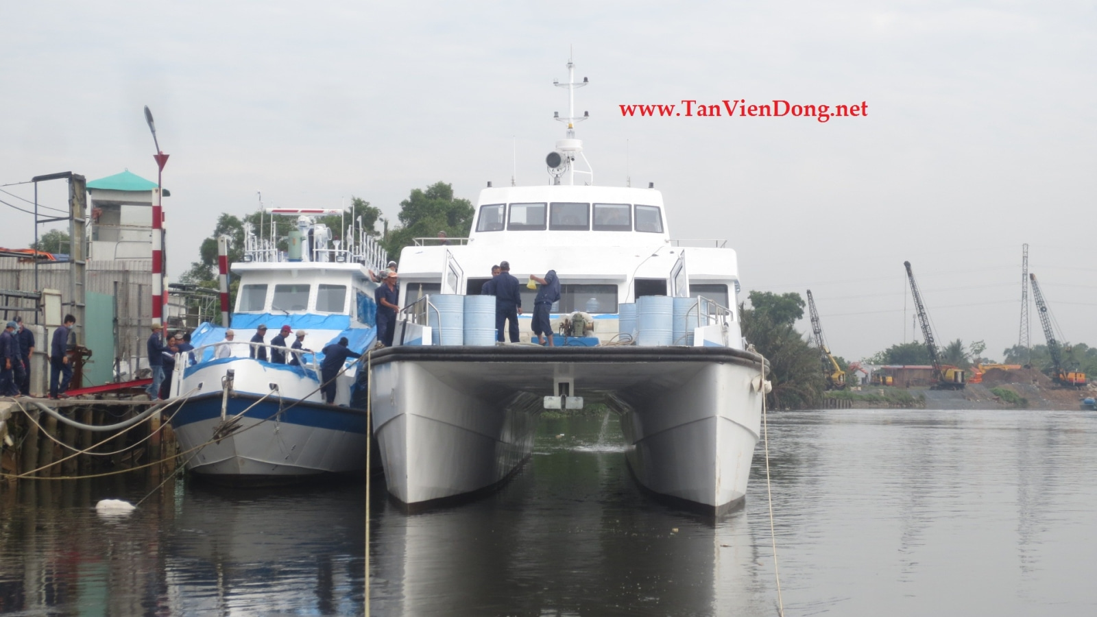 2023 Tan Vien Dong TVD-CATA3660 à venda (photo 4)