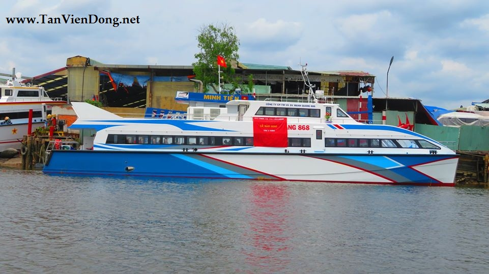 2023 Tan Vien Dong TVD-CATA2920 zu verkaufen (photo 2)