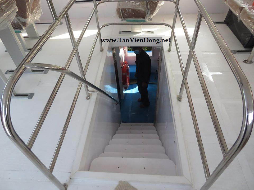 2023 Tan Vien Dong TVD-CATA2920 zu verkaufen (photo 4)