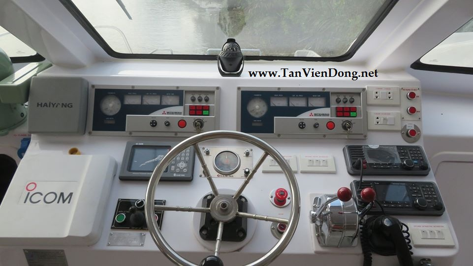2023 Tan Vien Dong TVD-CATA2920 zu verkaufen (photo 6)