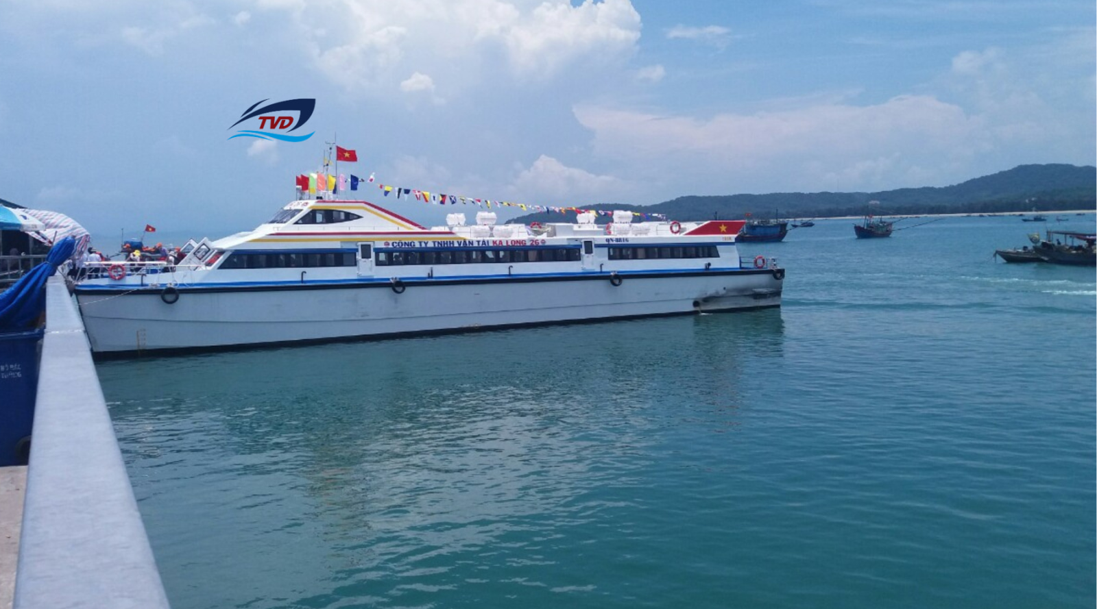 2023 Tan Vien Dong TVD-CATA3660_V2 in vendita (photo 2)