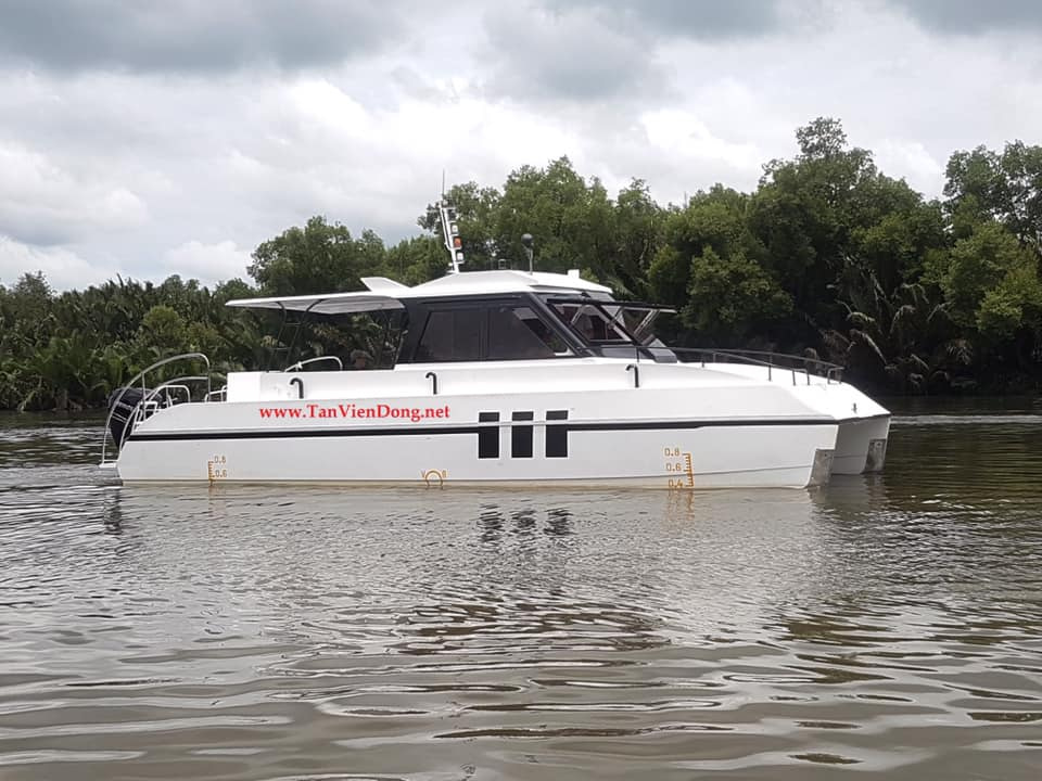 2023 Tan Vien Dong TVD-CATA1060 à venda (photo 4)