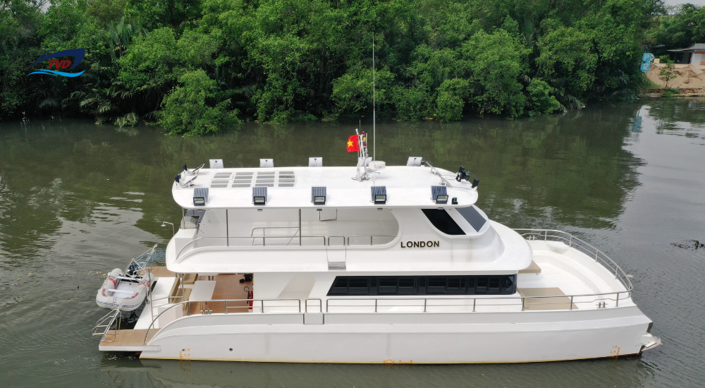 2023 Tan Vien Dong TVD-CATA1820MY2 en venta (photo 3)
