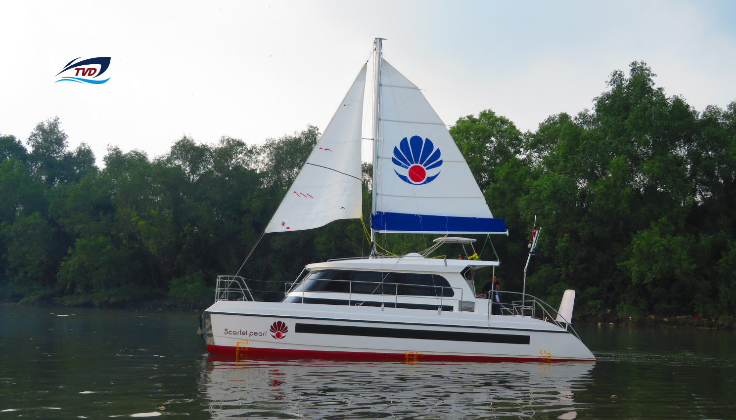 2023 Tan Vien Dong TVD885FC na sprzedaż (photo 3)