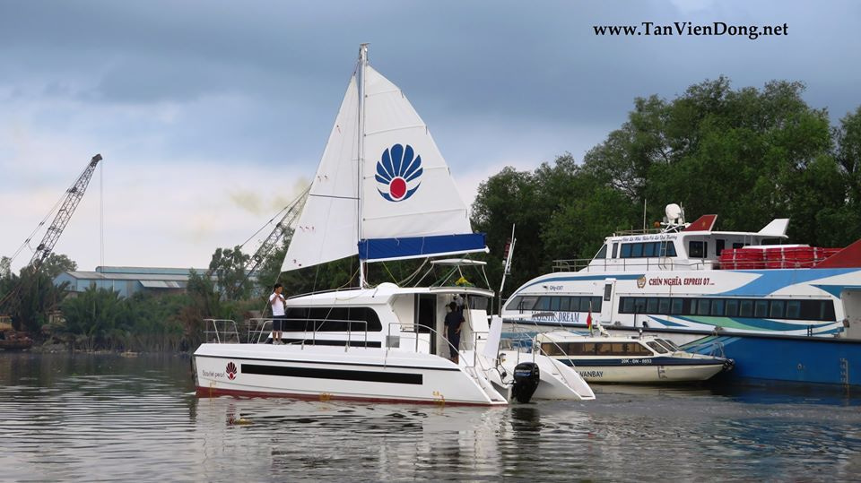2023 Tan Vien Dong TVD885FC na sprzedaż (photo 13)