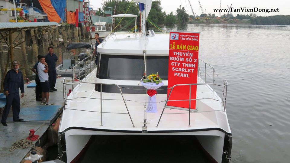 2019 Tan Vien Dong TVD-CATA1120SY en venta (photo 4)