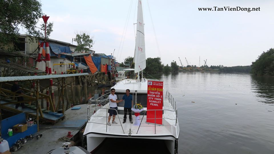2019 Tan Vien Dong TVD-CATA1120SY en venta (photo 6)