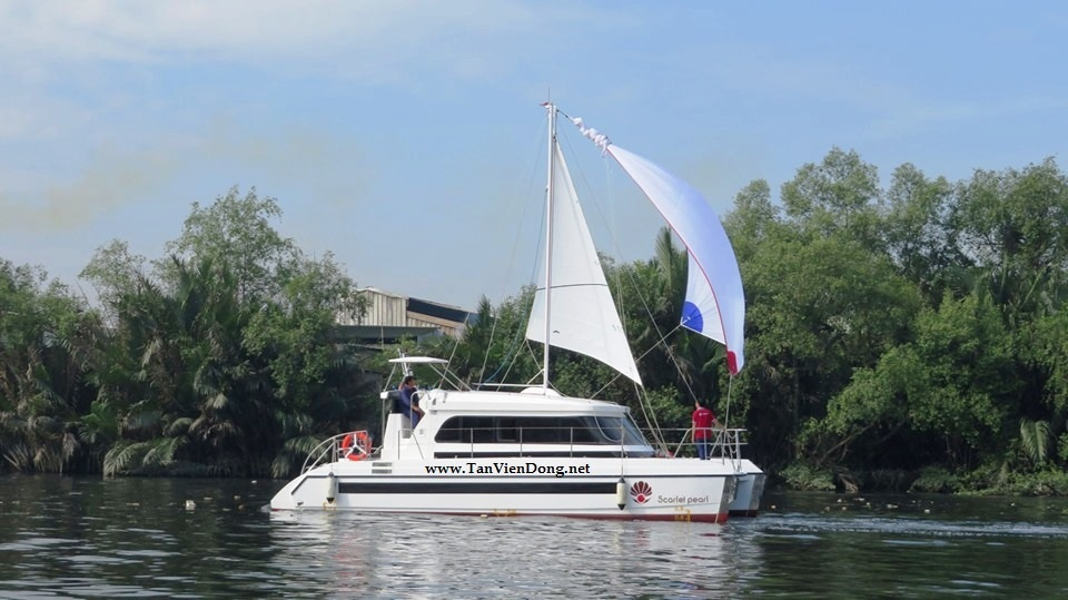 2019 Tan Vien Dong TVD-CATA1120SY_V2 for sale (photo 2)