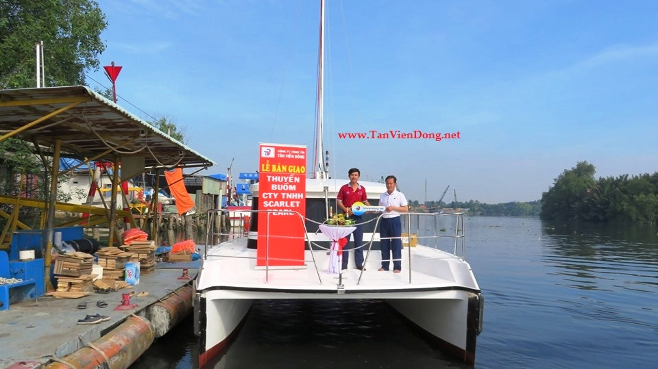 2019 Tan Vien Dong TVD-CATA1120SY_V2 for sale (photo 3)