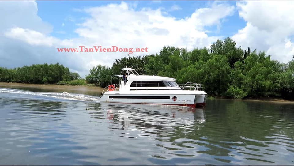 2019 Tan Vien Dong TVD-CATA1120SY_V2 for sale (photo 5)