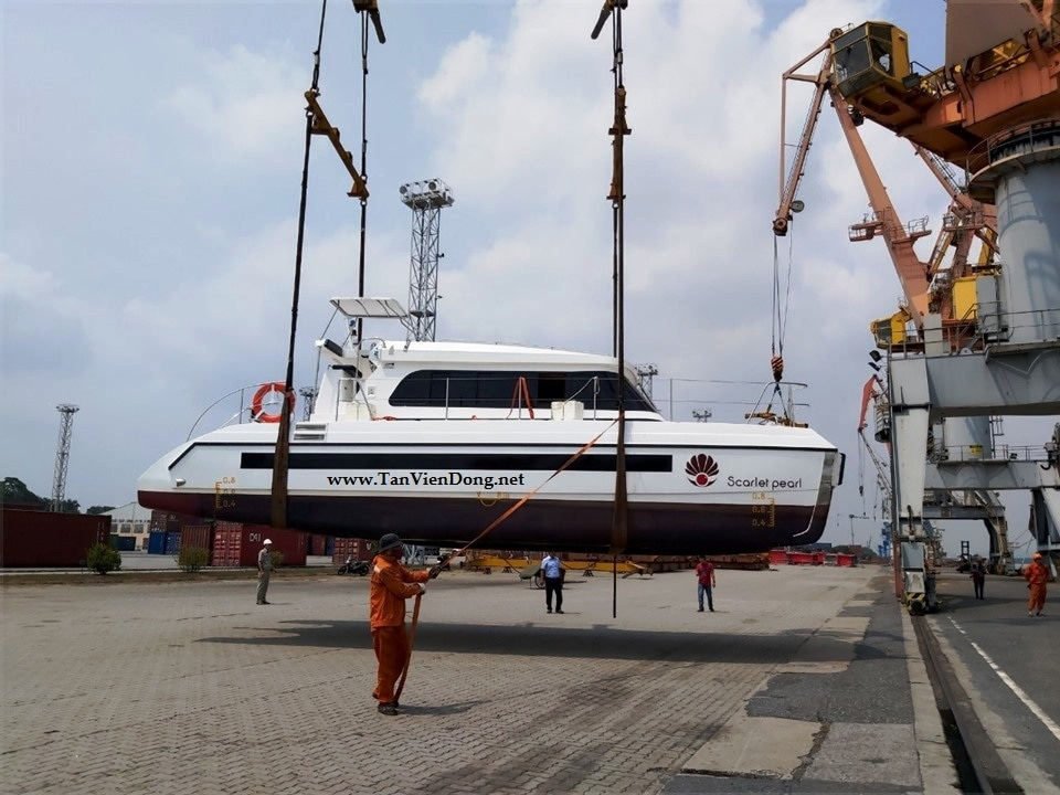 2019 Tan Vien Dong TVD-CATA1120SY_V2 for sale (photo 7)