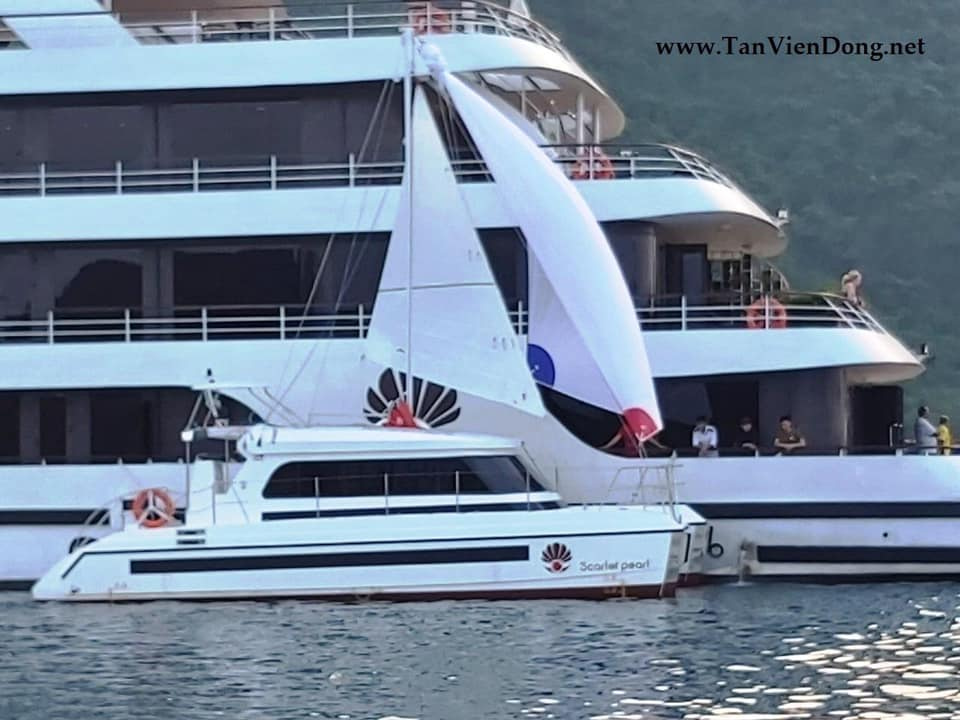 2019 Tan Vien Dong TVD-CATA1120SY_V2 for sale (photo 8)
